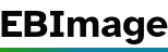 EBImage